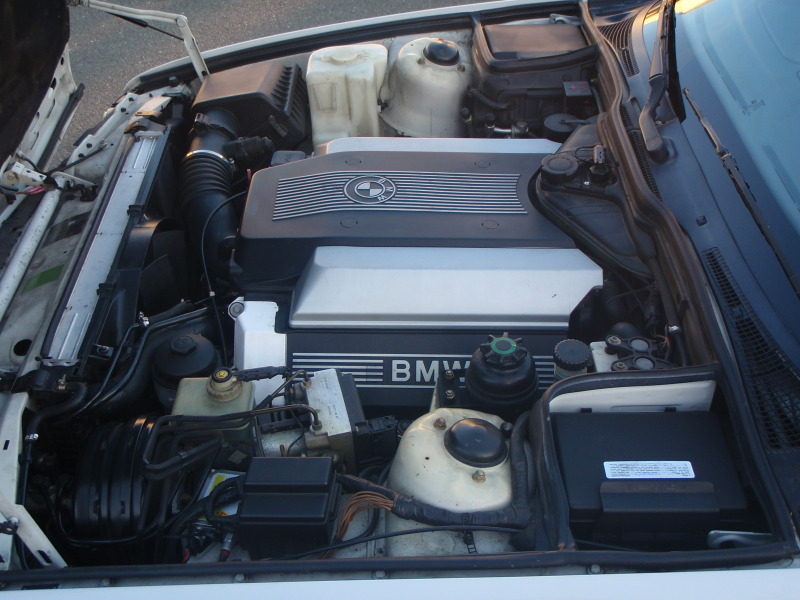 Illustration for article titled For $6,500, Bimmer Bimmer, Chicken Dinner